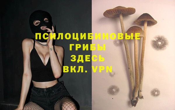 2c-b Алексин
